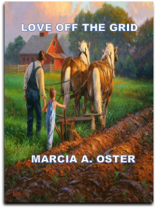 Cover - Love Off the Grid